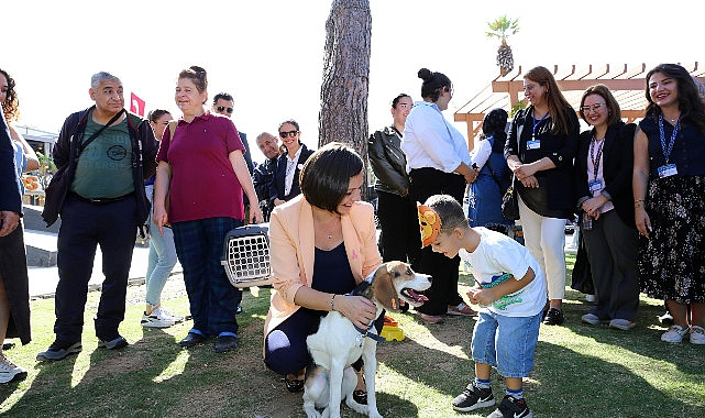 Karabağlar Belediyesi’nden sokak hayvanlarına modern hizmet