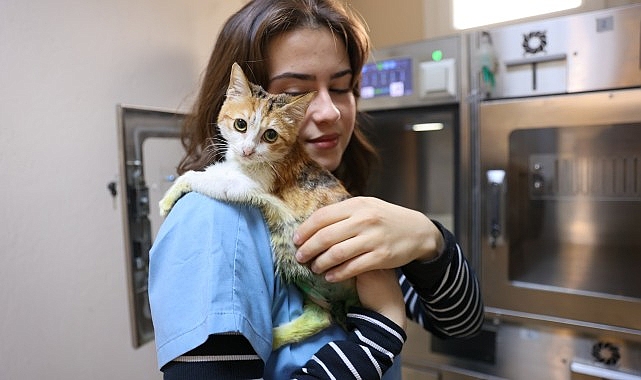 Ağır yaralarına rağmen yaşama tutundu, adı “Azim” oldu