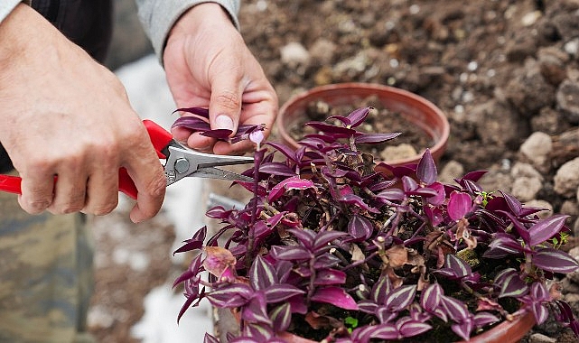 Bilinçli Tarımsal Üretim İçin Eğitim Zamanı