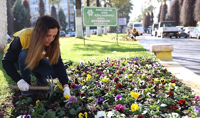 Başkan Çerçioğlu Kadınlar Ile El Ele Veriyor, Aydın Rengarenk Çiçekler İle Süsleniyor.
