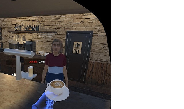 BİLGİ öğrencilerinden sanal gerçeklik destekli dil öğrenme uygulaması: Linviva