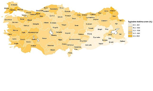İşgücü İstatistikleri, 2024