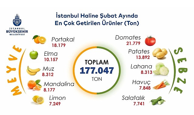 İstanbul’da şubat ayında portakal ve domates zirvede 
