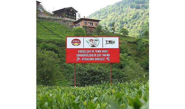 Doğuş Çay ve TEMA Vakfı’ndan sağlıklı topraklar ve sürdürülebilir çay tarımı için ortak adım