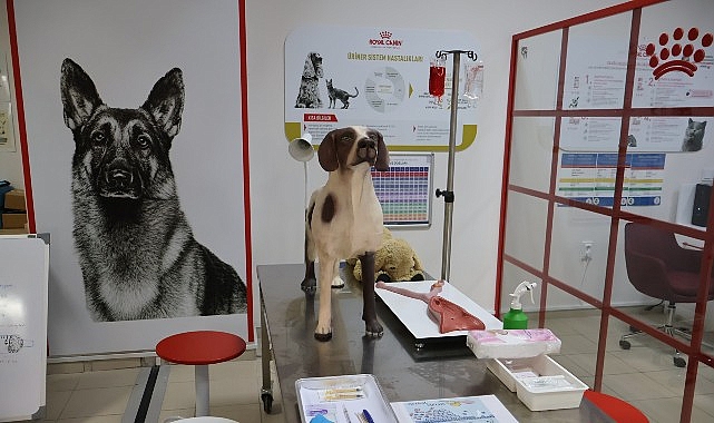 Uludağ Üniversitesi Klinik Beceri Laboratuvarı Açıldı