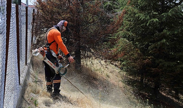 Çankaya, Kent Sağlığı ve Güvenliği İçin Sahada