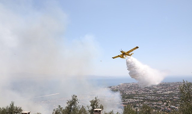 Edremit’te zeytinlikte çıkan yangın ormana sıçramadan söndürüldü