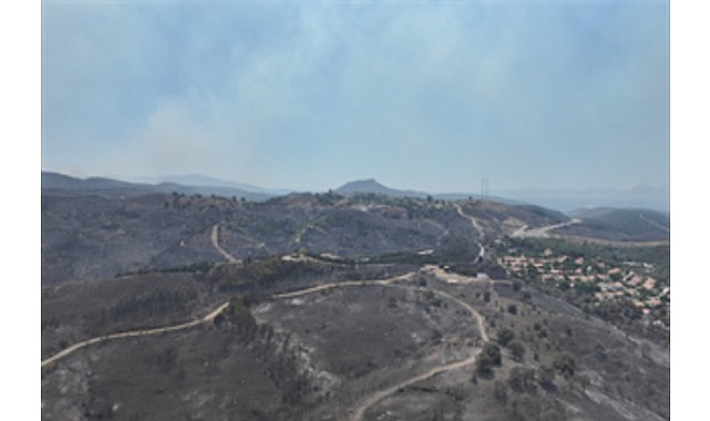 Seferihisar ve Menderes yangınlarının bilançosu ağır