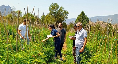 Çankaya Belediyesi’nden organik pazar denetimleri