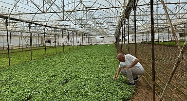 Asan Tarım’dan kuraklıkla mücadelede yerli çözüm: Damla Sulama Projesi Başladı
