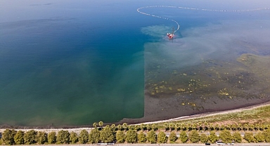 Körfez’de mavi dönüşüm