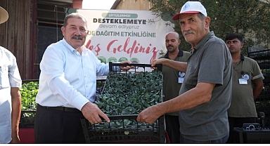Yüzde 50 Hibeli Kışlık Sebze Fidesi Desteği Üreticilerle Buluştu