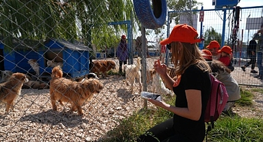 Borusan Pati Elçileri’nden sokağa terk edilmiş can dostlara mama, koruyucu aile ve sahiplendirme desteği
