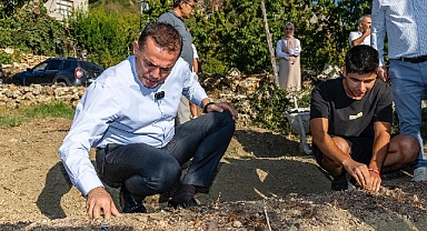 Yenişehir Belediyesinin hibe ettiği safran soğanları toprakla buluştu