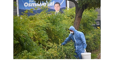 Osmangazi’de Şehrin Sağlığı İçin Kollar Sıvandı