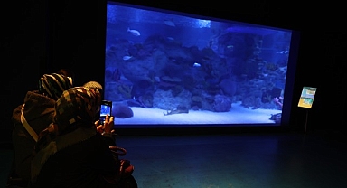 Engelliler, su altı dalışı yaparak yeteneklerini sergiledi