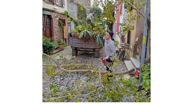 Ayvalık’ta Kışa Hazırlık…